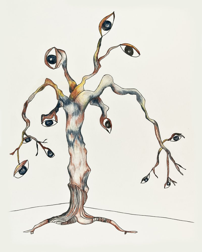L’arbre au regard